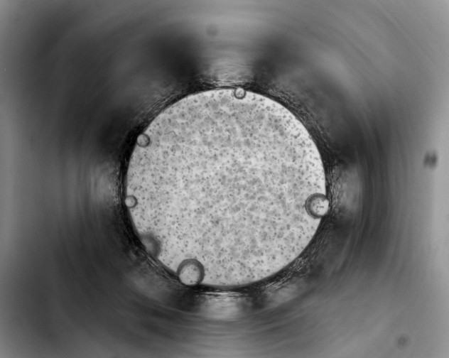 X0000103930316200810101359