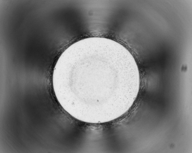 X0000103930317200810101359