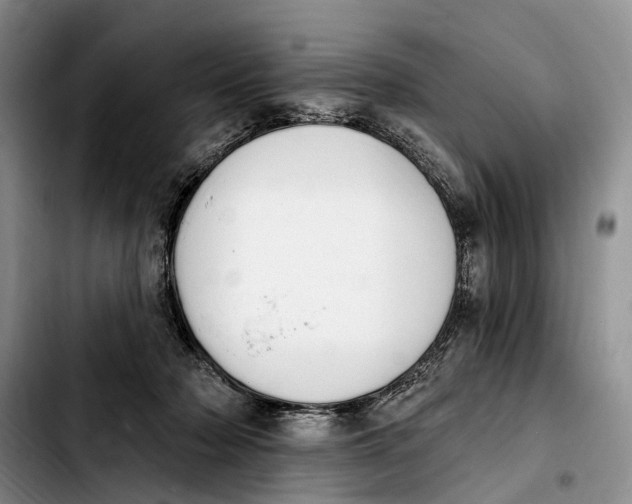 X0000103930318200810101359