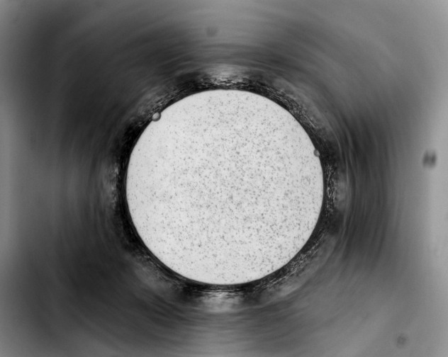 X0000103930319200810101359