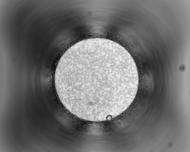 X0000103930320200810101359