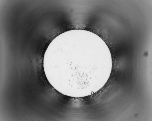 X0000103930321200810101359