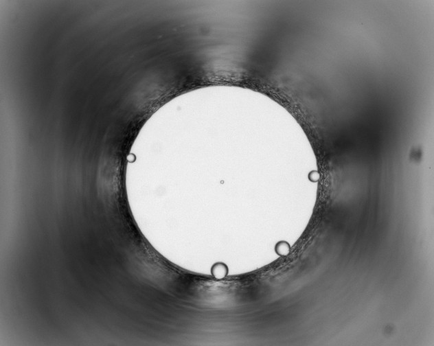 X0000103930323200810101359