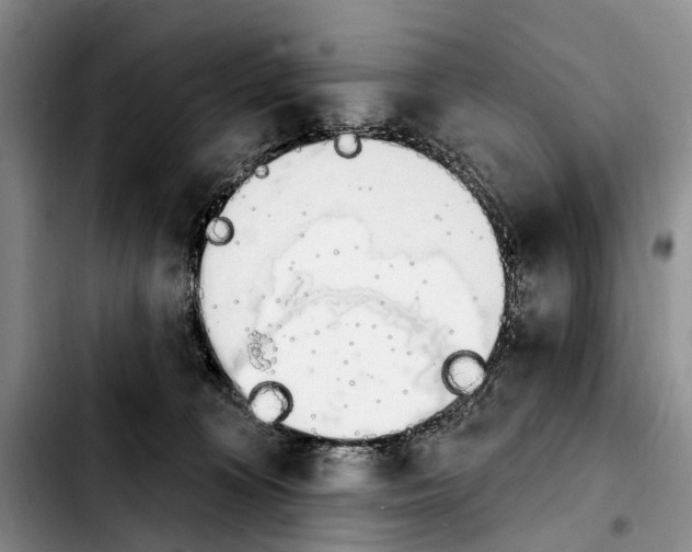 X0000103930324200810101359