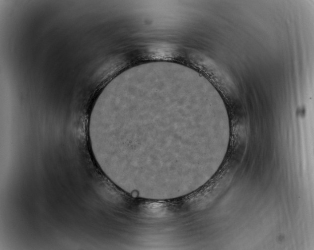 X0000103930325200810101359