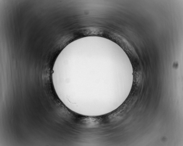 X0000103930326200810101359