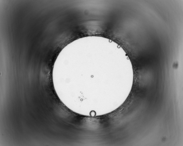 X0000103930327200810101359