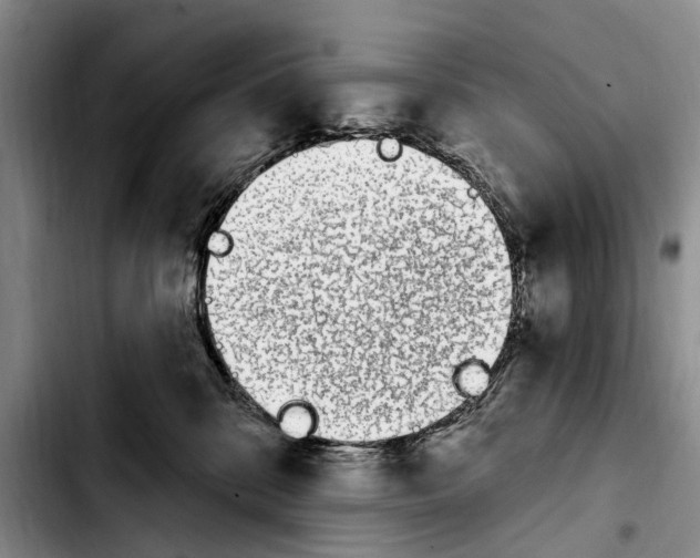 X0000103930328200810101359