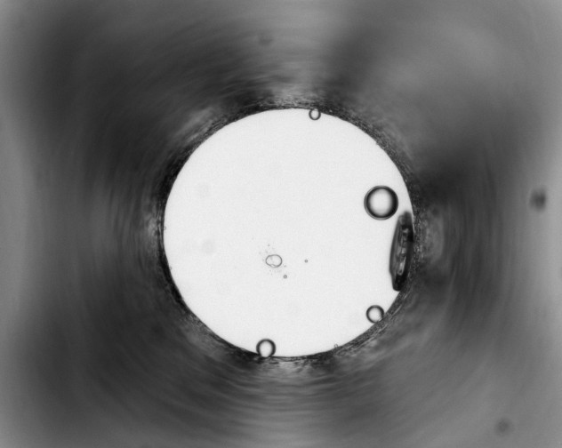 X0000103930329200810101359