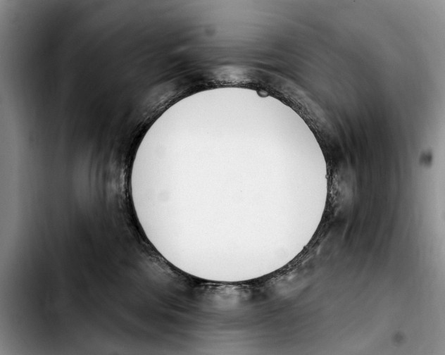 X0000103930330200810101359