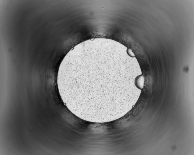 X0000103930331200810101359