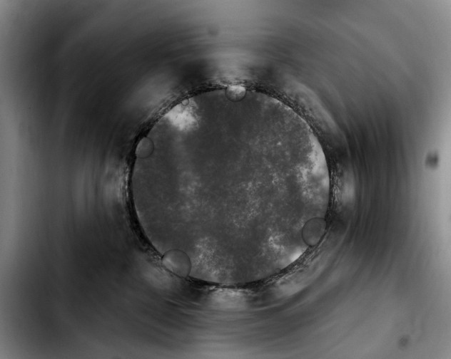 X0000103930332200810101359