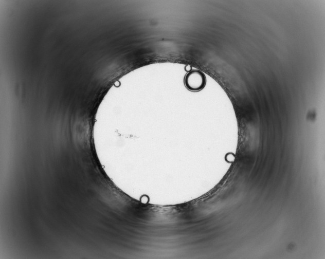 X0000103930333200810101359