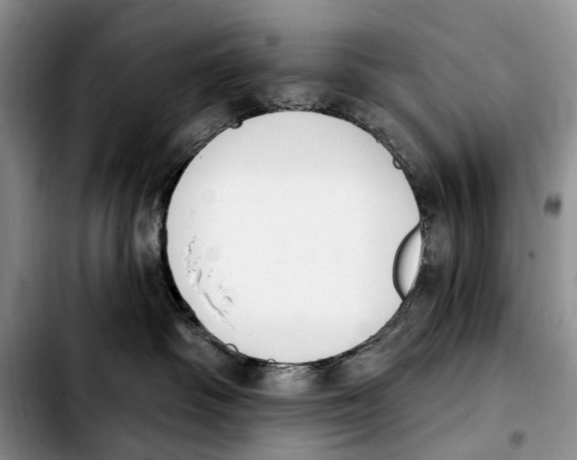 X0000103930334200810101359