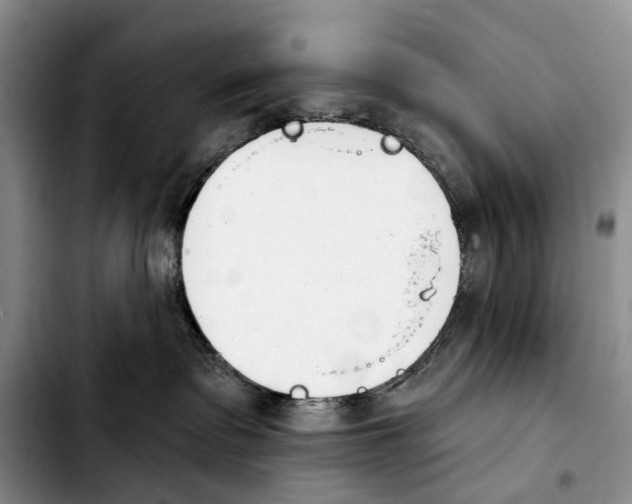 X0000103930335200810101359