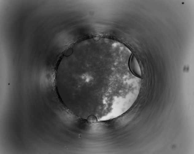 X0000103930336200810101359