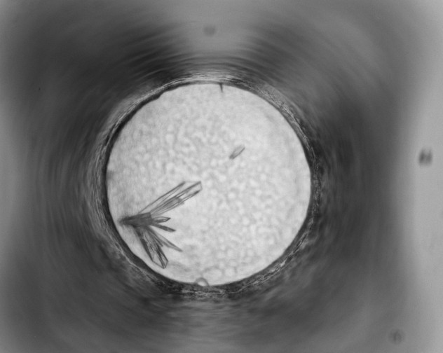 X0000103930337200810101358