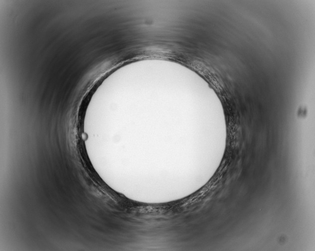 X0000103930338200810101358