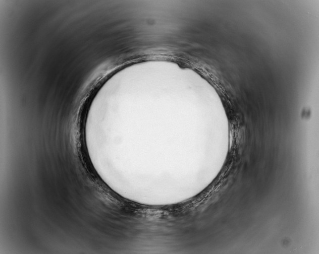 X0000103930339200810101358