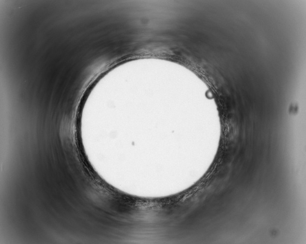 X0000103930340200810101358