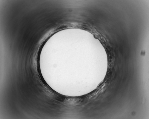 X0000103930341200810101358