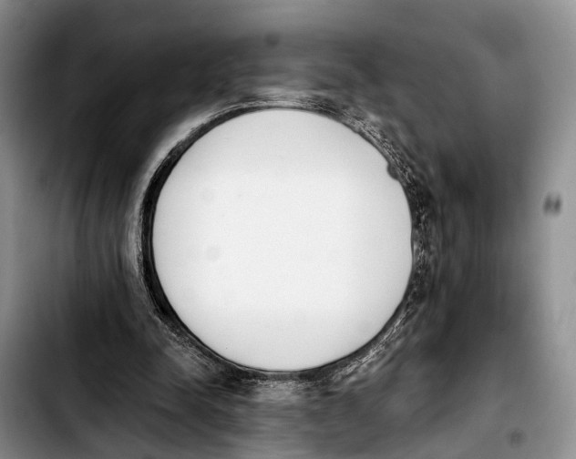 X0000103930342200810101358