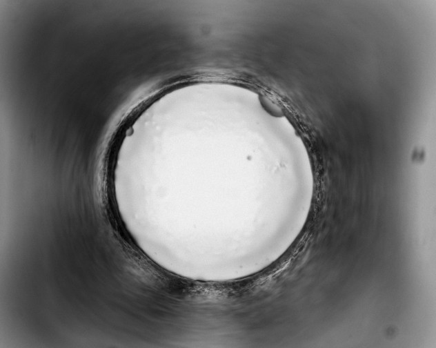 X0000103930343200810101358