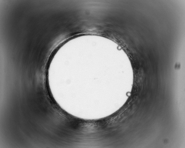 X0000103930344200810101358