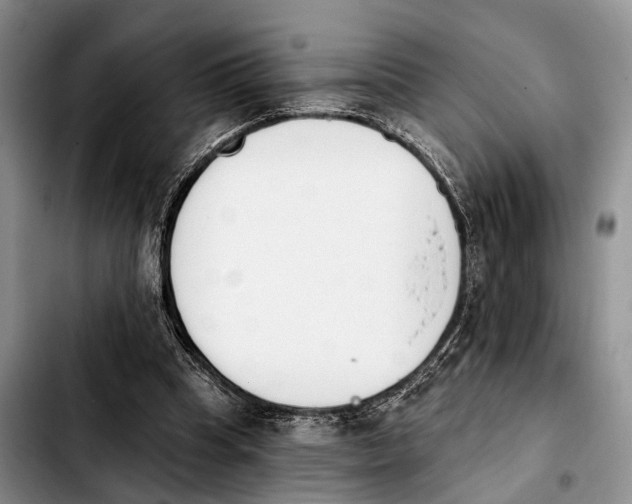 X0000103930345200810101358