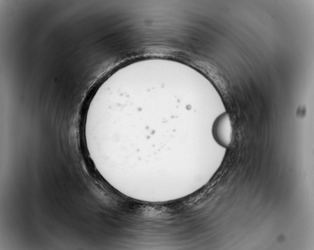 X0000103930346200810101358