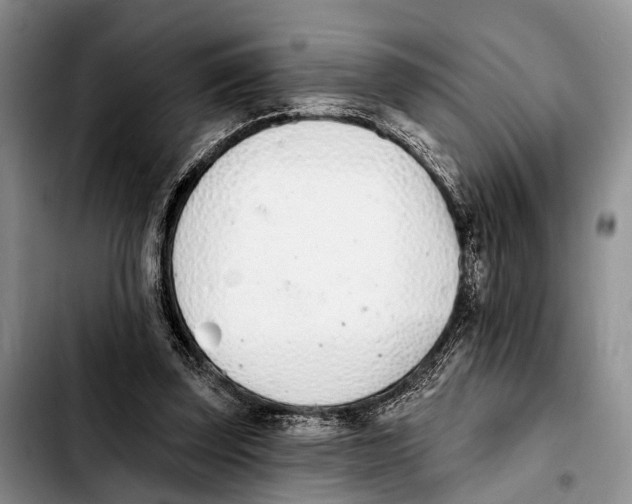 X0000103930347200810101358