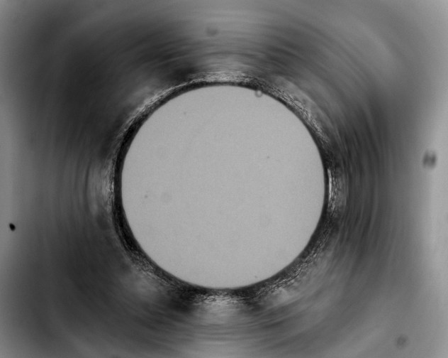 X0000103930348200810101358