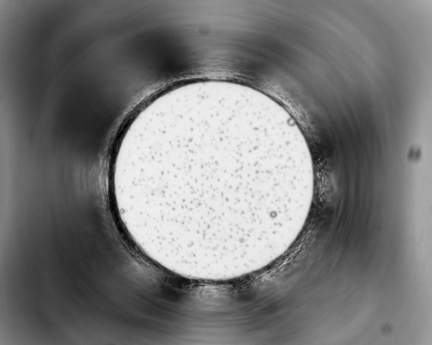 X0000103930350200810101358