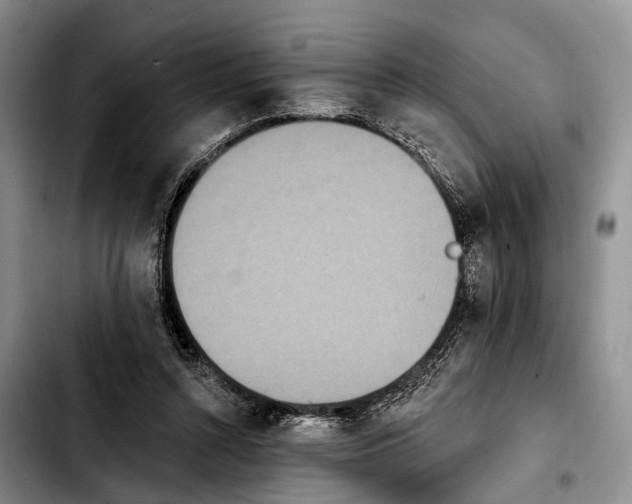 X0000103930352200810101358