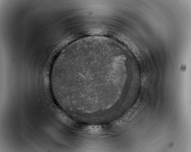 X0000103930353200810101358