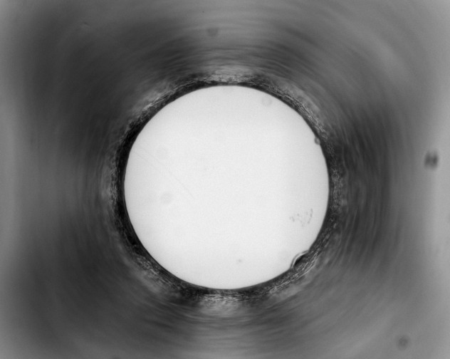 X0000103930354200810101358