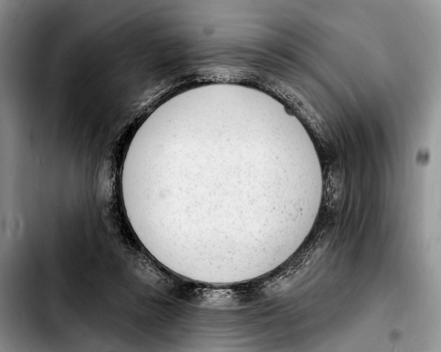 X0000103930355200810101358