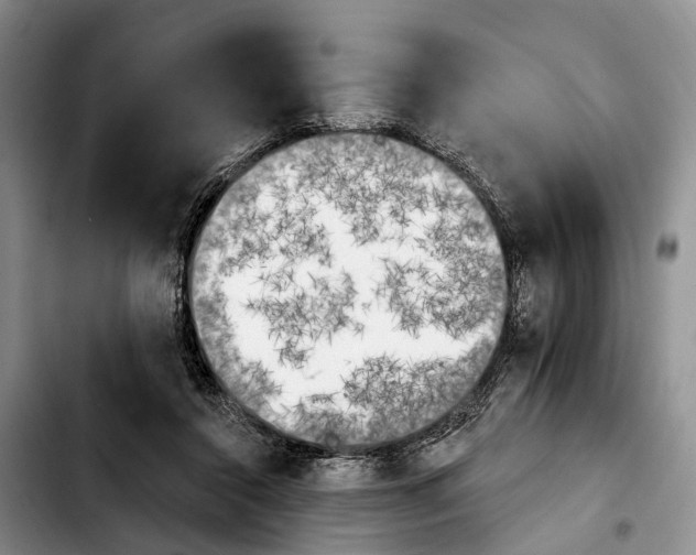 X0000103930356200810101358