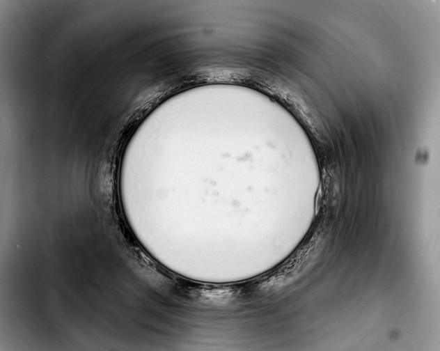 X0000103930357200810101358