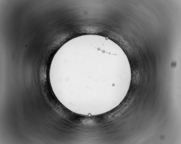 X0000103930358200810101358