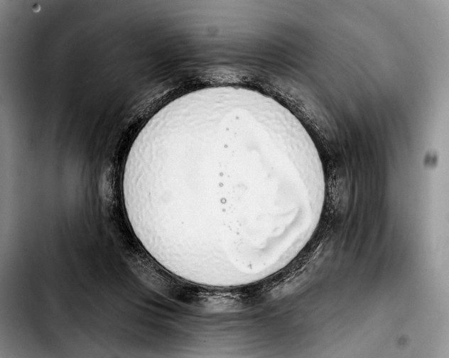 X0000103930359200810101358