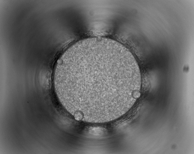 X0000103930360200810101358