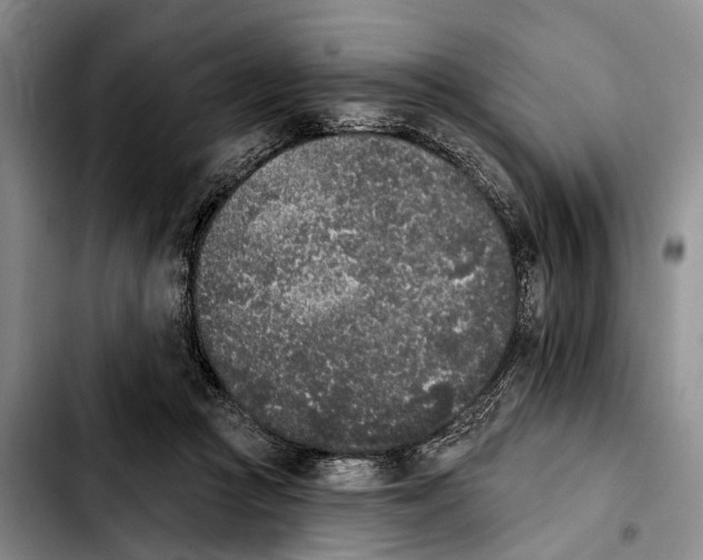 X0000103930361200810101358