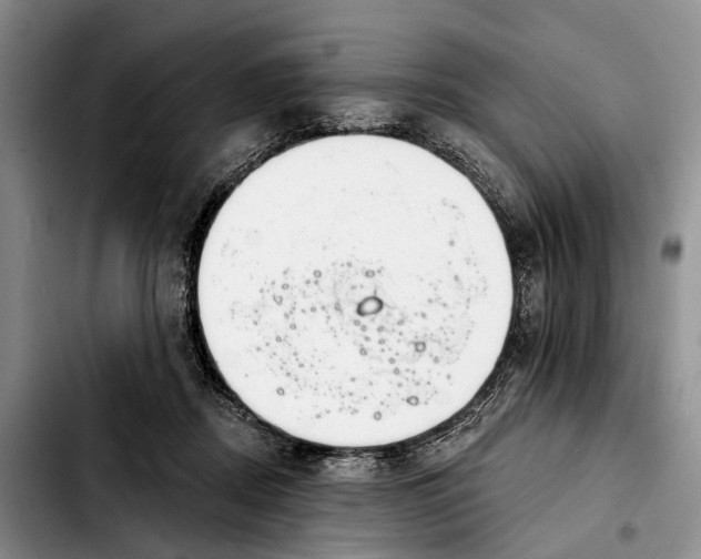 X0000103930362200810101358