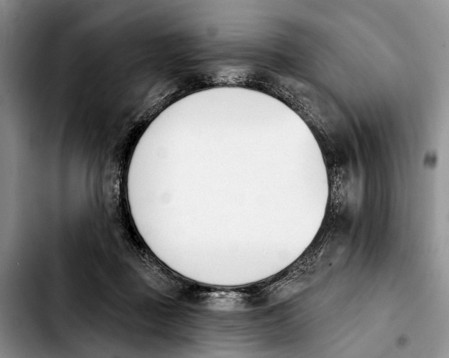 X0000103930363200810101358