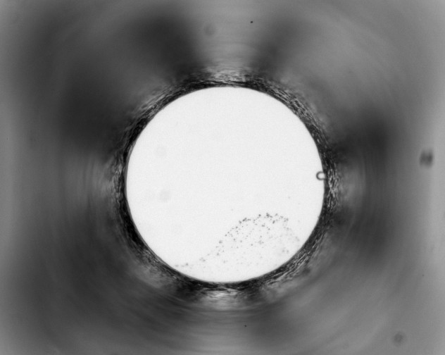 X0000103930364200810101358