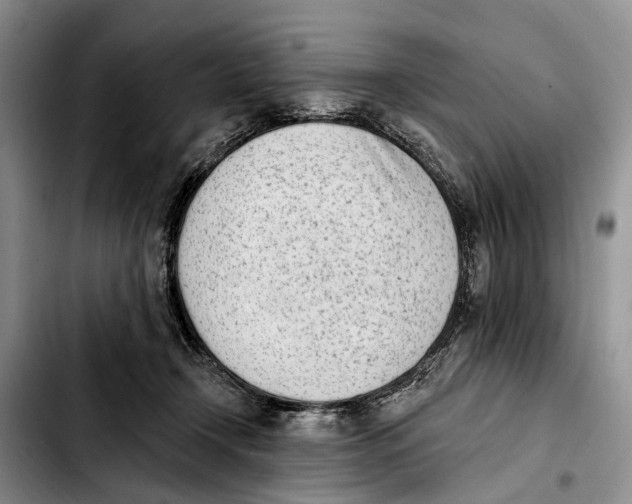 X0000103930366200810101358