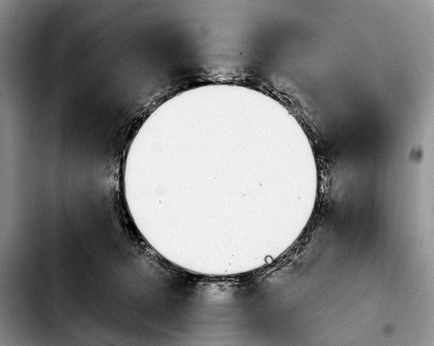 X0000103930368200810101358