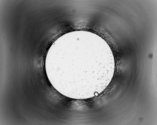 X0000103930372200810101358