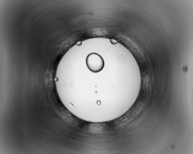 X0000103930373200810101358